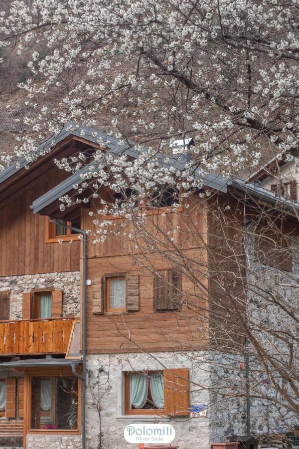 Dolomiti Riverside Perarolo di Cadore Ngoại thất bức ảnh